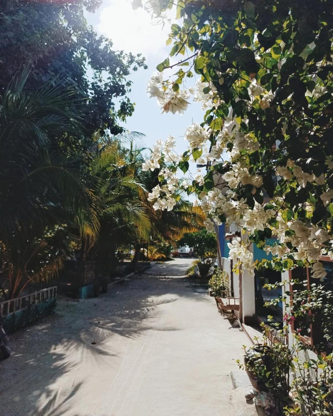 Kudhi Boli Beach House Thulusdhoo Dış mekan fotoğraf