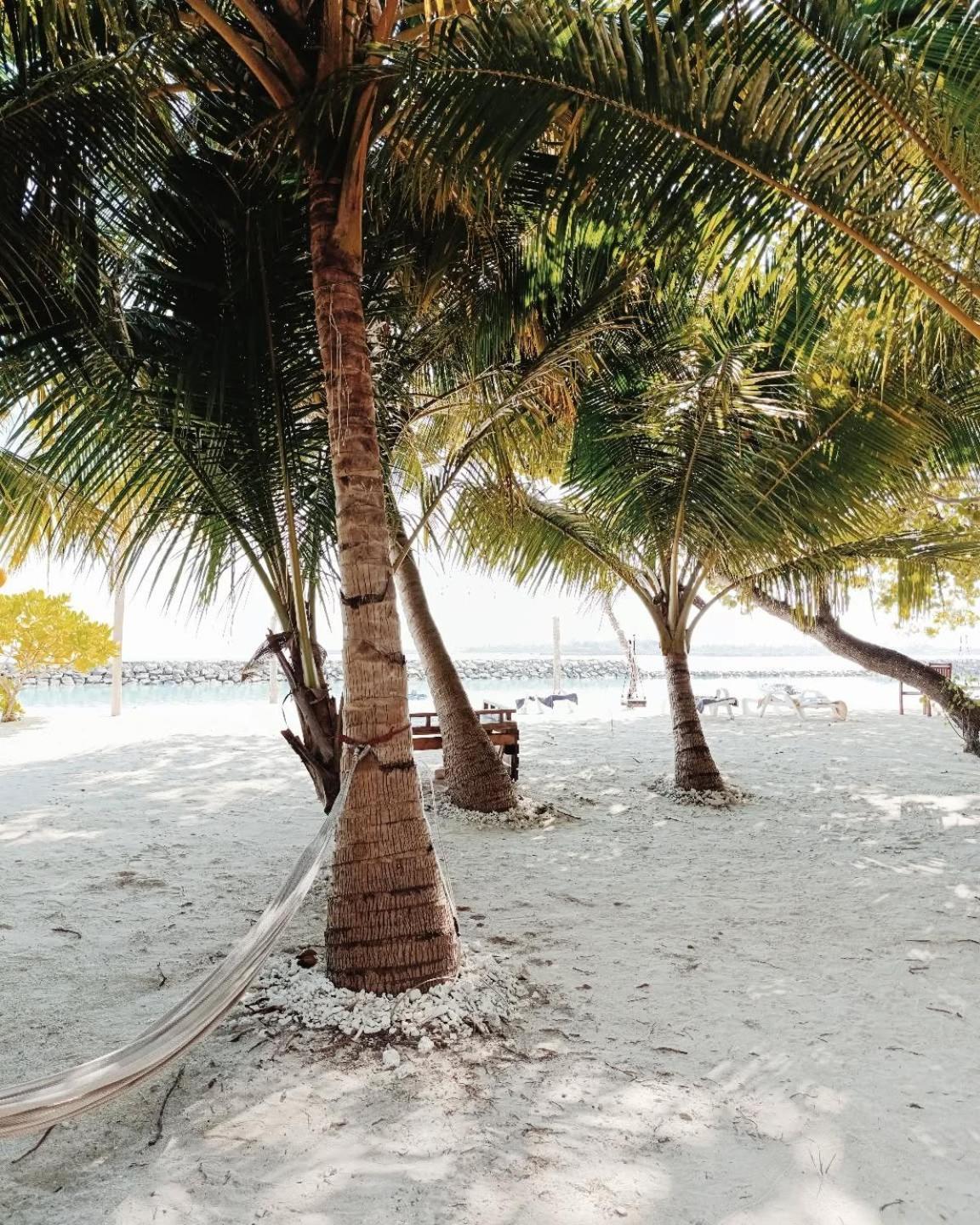 Kudhi Boli Beach House Thulusdhoo Dış mekan fotoğraf