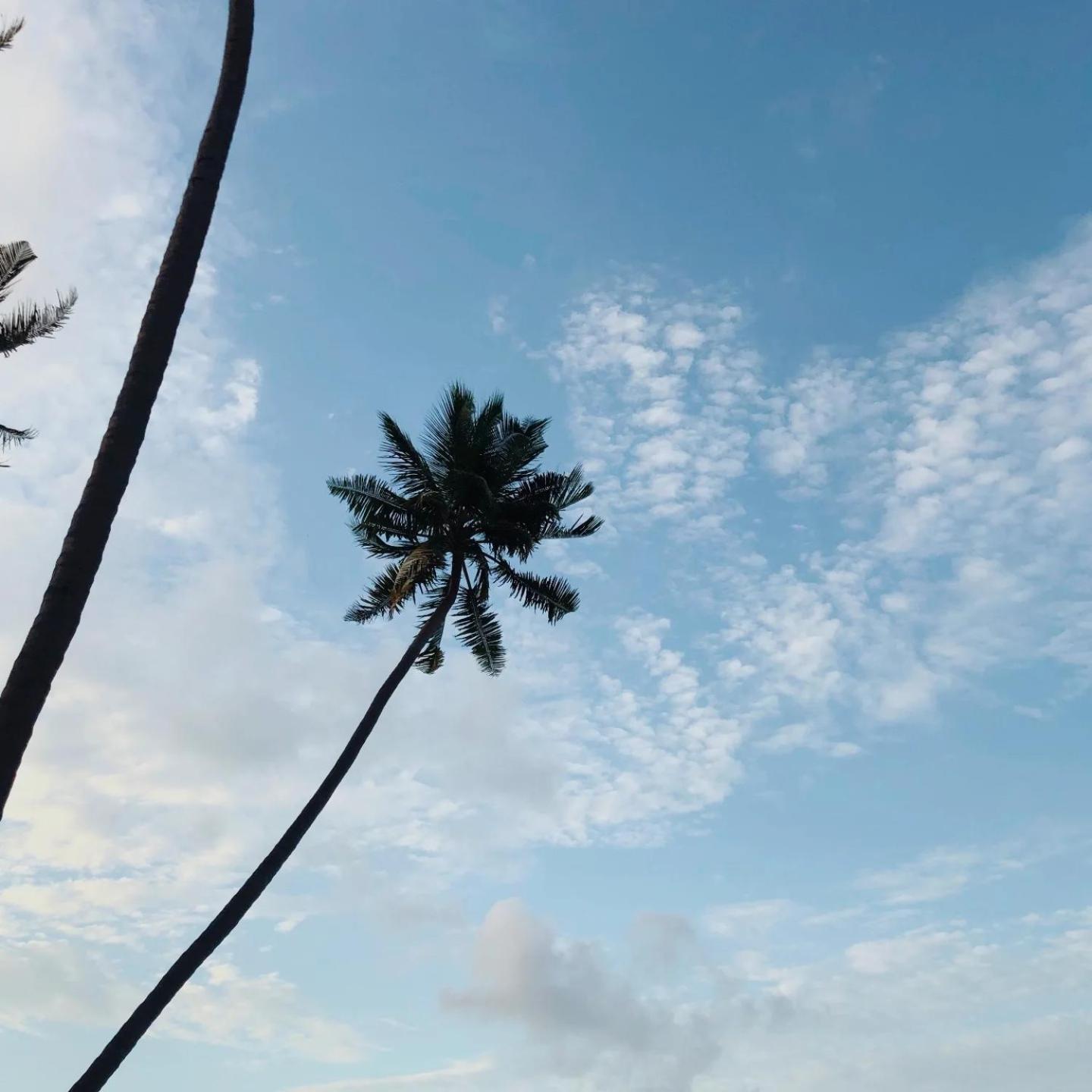 Kudhi Boli Beach House Thulusdhoo Dış mekan fotoğraf
