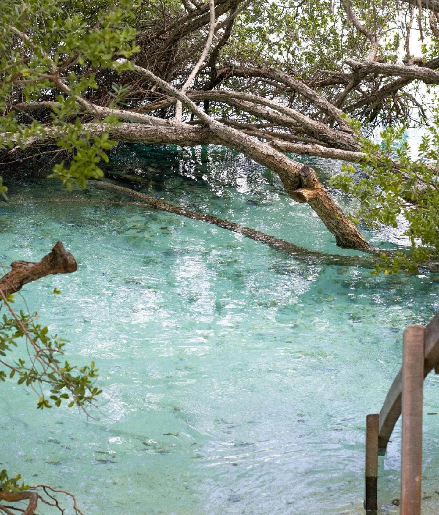 Kudhi Boli Beach House Thulusdhoo Dış mekan fotoğraf
